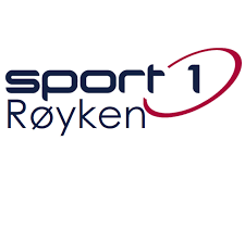 Sponsor logo #1